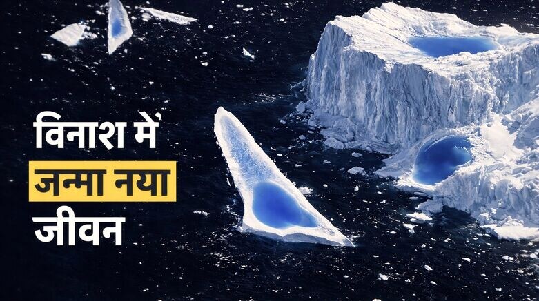 दक्षिण अटलांटिक महासागर में पिघलते हुए महाकाय आइसबर्ग A23a के उपग्रह दृश्य और उसके आसपास पनपते हरे फाइटोप्लांकटन ब्लूम।